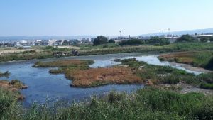 Δήμος Δέλτα: Στάσιμα νερά και πεταμένα λάστιχα στην περιοχή των βυρσοδεψείων