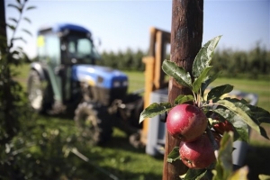 Η Ρωσία καλεί την Τουρκία σε συνεργασία στην Κριμαία