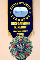 Εκλογοαπολογιστική συνέλευση Πολιτιστικού Συλλόγου Πικρολίµνης
