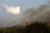 Πυρκαγιά σε δασική έκταση στον Κουβαρά Κερατέας