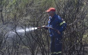 Θεσσαλονίκη: Φωτιά έξω από τα Κύμινα – Πνέουν ισχυροί άνεμοι