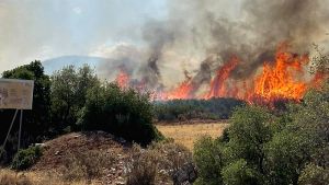 Κύπρος: Στήριξη από ΕΕ και Αίγυπτο για την κατάσβεση πυρκαγιών στην επαρχία Λεμεσού