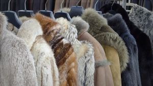 Καστοριά: Η 50η Διεθνής Έκθεση Γούνας ανοίγει τις πύλες της με πληθώρα συμμετοχών