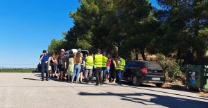 Θεσσαλονίκη: Σταμάτησαν προσωρινά οι κοπές δέντρων στα Κωνσταντινοπολίτικα για το Flyover (ΒΙΝΤΕΟ)
