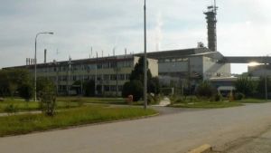 Τους πρώτους 500 τόνους τεύτλων, παρέλαβε στο εργοστάσιο της ΕΒΖ Σερρών, η Royal Sugar