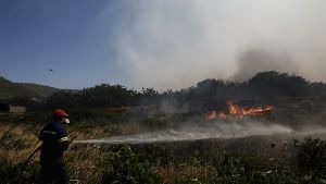 Κατασβεσμένη φωτιά σε αγροτοδασική έκταση στη Βόλβη
