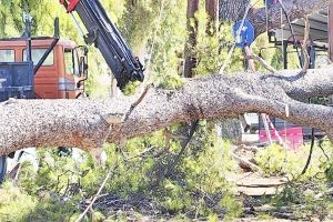 Σημαντικά προβλήματα από τους ισχυρούς ανέμους στο νομό Κιλκίς – Άμεση η αποκατάσταση των ζημιών