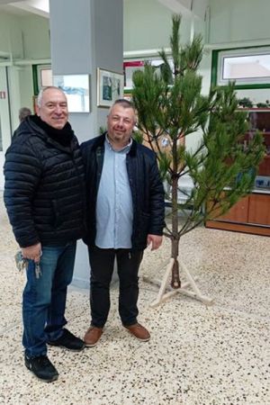 Χριστουγεννιάτικα πεύκα από την Κοινότητα Κιλκίς σε σχολεία και δημόσιες υπηρεσίες