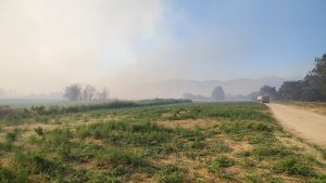 Και εναέρια μέσα στη μάχη κατά της φωτιάς στο Καβαλάρι