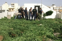 Άρτα: Αστυνομικοί δέχθηκαν πυρά στη διάρκεια έρευνας σε φυτεία χασίς