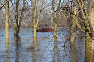 Σε εξέλιξη επιχείρηση διάσωσης μεταναστών στον Έβρο