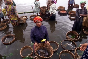 Αποζημίωση μαμούθ σε ψαράδες της Νιγηρίας από τη Shell
