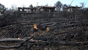 Νέα δίωξη ζητείται για την τραγωδία στο Μάτι