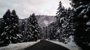 Στις 9πμ θα χτυπήσει το κουδούνι την Πέμπτη σε σχολεία της Χαλκιδικής