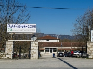Αναζήτηση τυχόν ποινικών ευθυνών στη διοίκηση της Γαλακτοκομικής Σχολής Ιωαννίνων