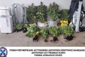 Συλλήψεις από αστυνομικούς του Κιλκίς στη Θεσσαλονίκη για διακίνηση ναρκωτικών (ΒΙΝΤΕΟ-ΦΩΤΟ)