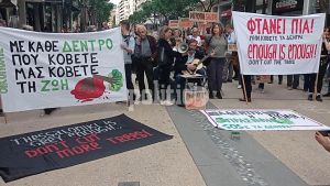 Θεσσαλονίκη: Διαμαρτυρία για την δενδροκτονία – “Φτάνει πια μην κόβετε τα δέντρα” (ΦΩΤΟ &amp; ΒΙΝΤΕΟ)