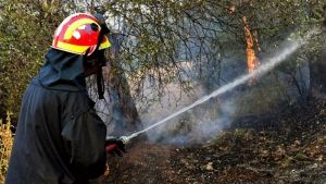 Φωτιά στον Βαθύλακκο: Υπό έλεγχο η κατάσταση