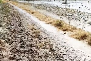 Καταστροφές στις καλλιέργειες της Παιονίας από το μπουρίνι του Σαββάτου