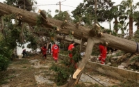 Ζημιές στην Πάτρα λόγω ισχυρών ανέμων-Ανεμοστρόβιλος στη Ζάκυνθο