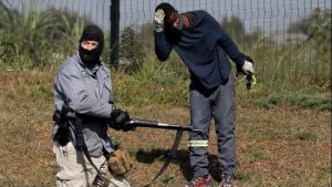 Νότια Αφρική: 117 νεκροί από τα επεισόδια (vid &amp;pics)