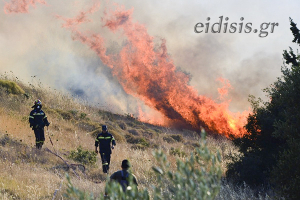 Πυρκαγιά σε δασική έκταση στο Κιλκίς