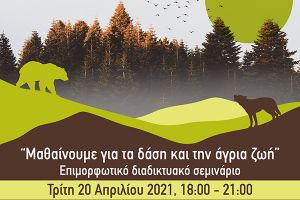 ΚΠΕ Κικλίς: «Μαθαίνουμε για τα δάση και την άγρια ζωή»