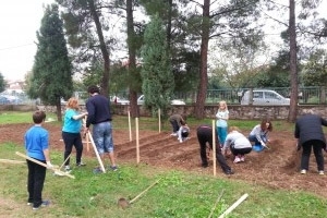 Ξεκινά το θεματικό δίκτυο με θέμα: Οι σχολικοί κήποι ομορφαίνουν τις καρδιές μας