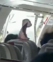 Νότια Κορέα: Άνοιξε η πόρτα του αεροπλάνου λίγο πριν απογειωθεί (ΒΙΝΤΕΟ)
