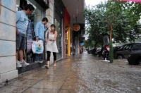 Θεσσαλονίκη: Πτώσεις δέντρων και υλικές ζημιές από τη βροχόπτωση