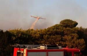 Πυρκαγιά σε δασική έκταση στη Μεσσηνία