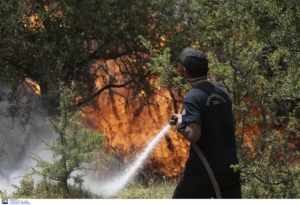 Σε ύφεση η πυρκαγιά στον Ελαιώνα στη Θήβα