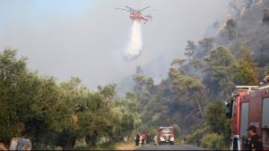 Πυρκαγιά σε δασικά διαμερίσματα του δήμου Μύκης στην Ξάνθη