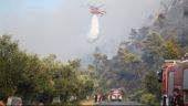 Πυρκαγιά σε δασικά διαμερίσματα του δήμου Μύκης στην Ξάνθη