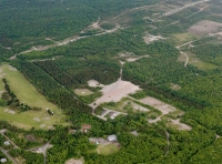 Ιαπωνία: Σώος ο επτάχρονος που είχαν αφήσει για... τιμωρία στο δάσος