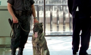 Ελέγχους στα σύνορα για ευρωπαίους τζιχαντιστές μελετά η Ε.Ε.