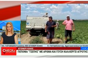Πεπόνια τσέπης και καρπούζια που ωριμάζουν υπό τους ήχους κλασικής μουσικής στο Νέο Αγιονέρι Κιλκίς!