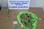 Οι αστυνομικοί της Παιονίας συνέλαβαν 51χρονο με 107 γρμ χασίς κι ένα δενδρύλιο