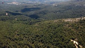 Απαγόρευση κυκλοφορίας σε Σέιχ Σου και άλλες δασικές εκτάσεις λόγω κινδύνου πυρκαγιάς