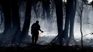Yπό έλεγχο η δασική πυρκαγιά στα νοτιοδυτικά της Γαλλίας