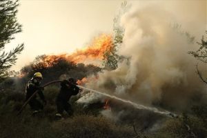 Σύλληψη ενός άνδρα ως υπαίτιου πρόκλησης εμπρησμού από αμέλεια στο Κιλκίς
