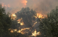 Στις φλόγες η Αιτωλοακαρνανία - Υπό έλεγχο οι φωτιές σε Κύμη-Κάρυστο