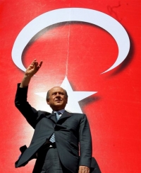 Με τις πλάτες των Γκρίζων Λύκων το δημοψήφισμα για το Σύνταγμα