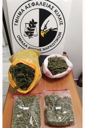 Συλλήψεις για ναρκωτικά και διακίνηση μεταναστών