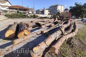 Το δασάκι του Νοσοκομείου Κιλκίς