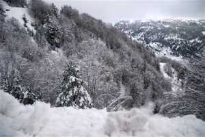 Πτώση της θερμοκρασίας - Χειμερινό το σκηνικό
