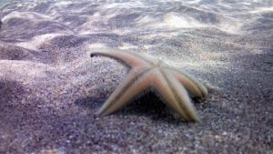 Τι καιρό θα κάνει στην Μακεδονία και στην Θράκη