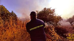 Θεσσαλονίκη: Χωρίς ενεργό μέτωπο η φωτιά μετά τη νέα αναζωπύρωση χθες στο Βαγιοχώρι