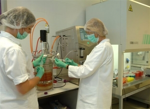 Μια έγκυος στην Αίγυπτο πέθανε από γρίπη H1N1