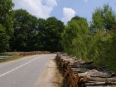 Πρόσκοποι – ναυτοπρόσκοποι της Κέρκυρας σε Κιλκίς και Πάικο